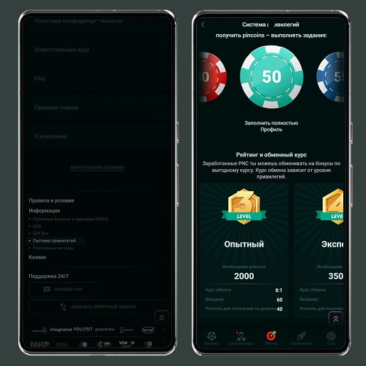 Система лояльности